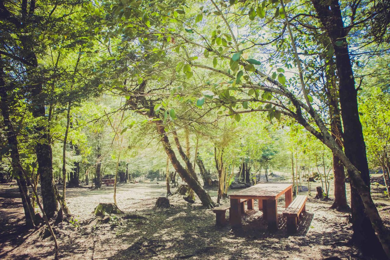 הוילה Curacautín Llaima Camp מראה חיצוני תמונה