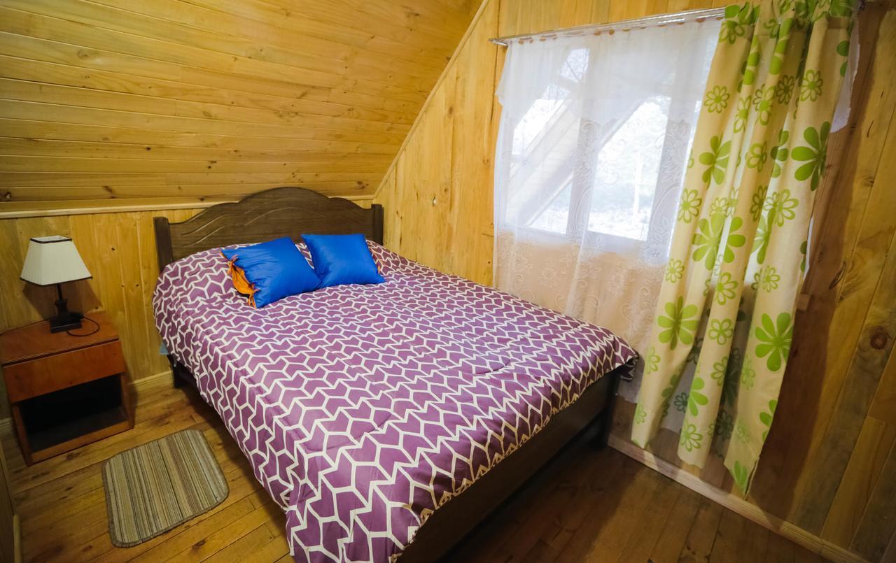 הוילה Curacautín Llaima Camp מראה חיצוני תמונה