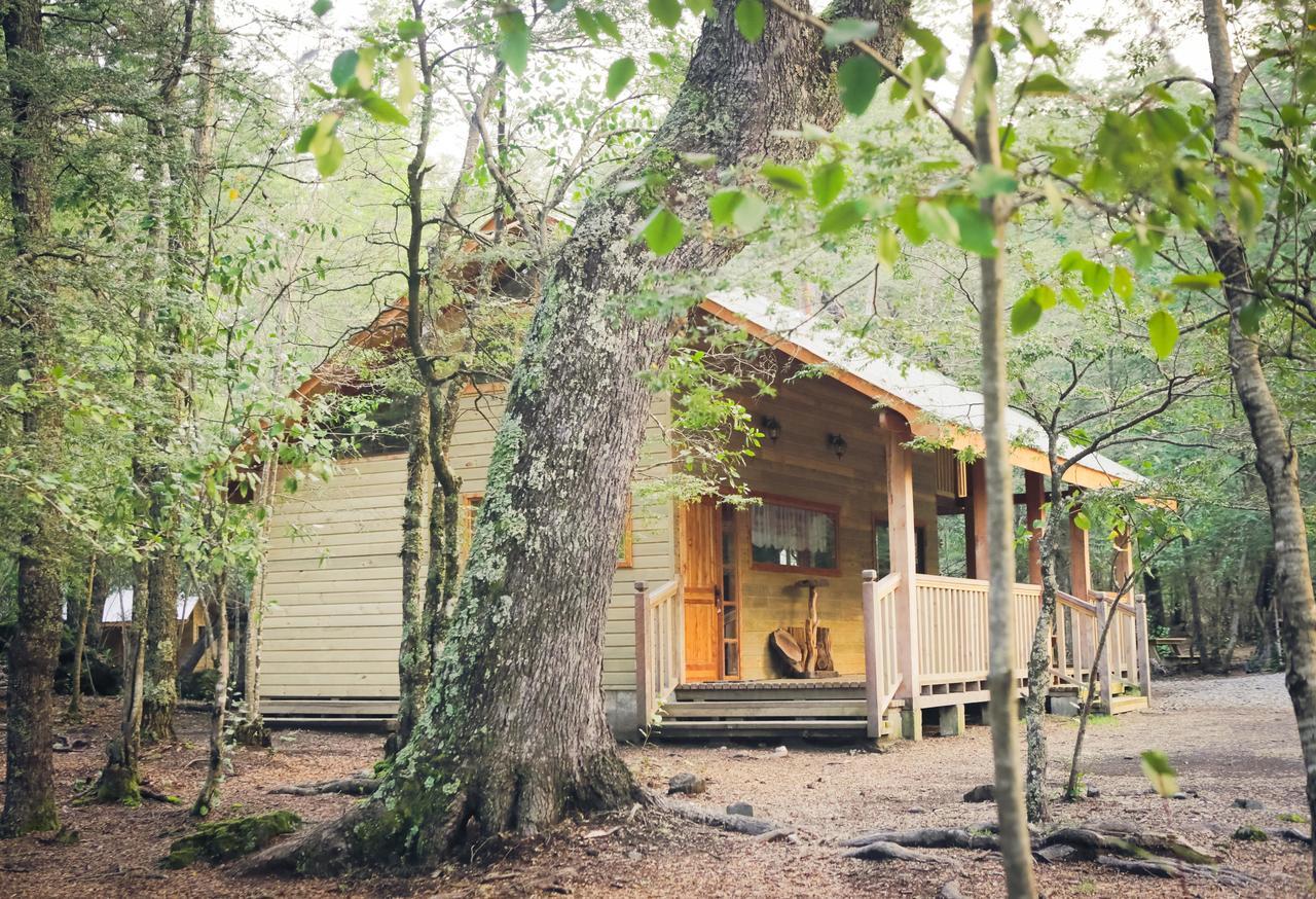 הוילה Curacautín Llaima Camp מראה חיצוני תמונה