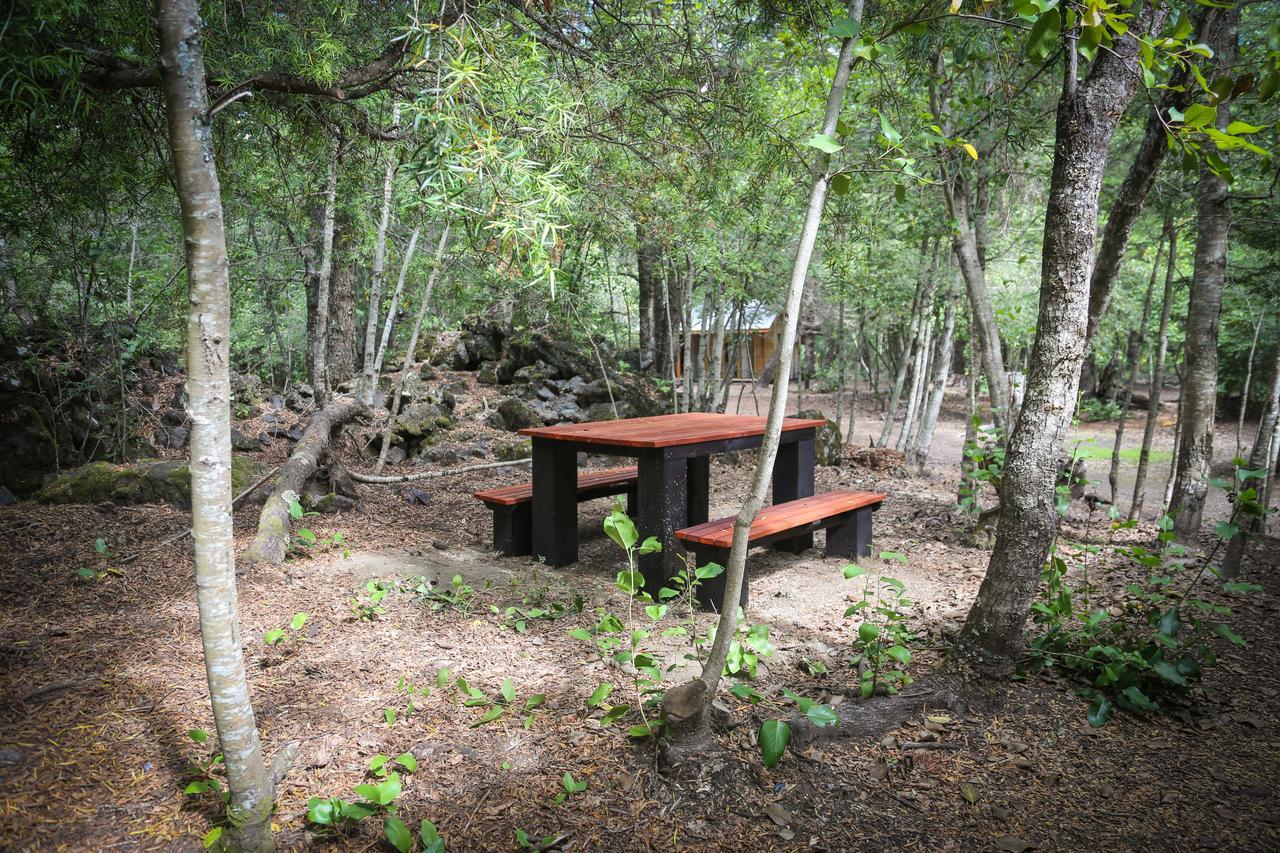 הוילה Curacautín Llaima Camp מראה חיצוני תמונה