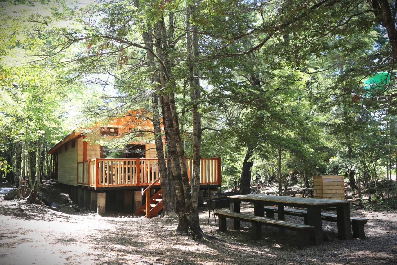 הוילה Curacautín Llaima Camp מראה חיצוני תמונה